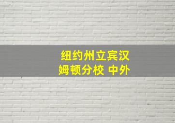 纽约州立宾汉姆顿分校 中外